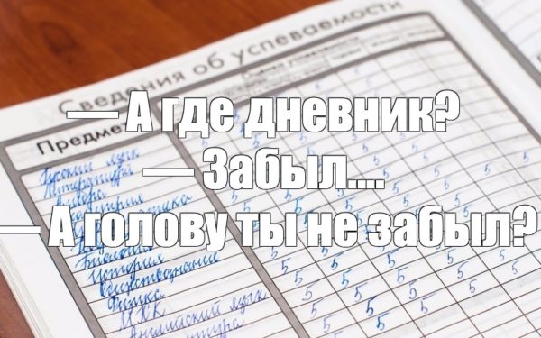 Печать дневников